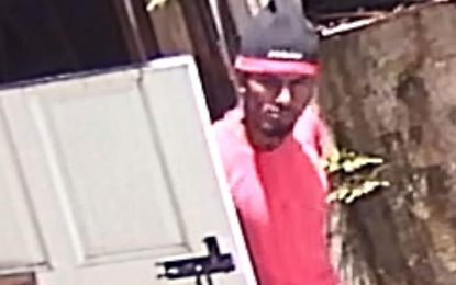 Sneaky thief runs away when owner shows up