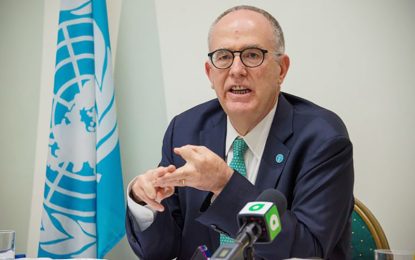 FAO says “rapid study”, available data determined low fish catch not as a result of oil production