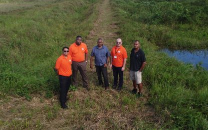 SBM inks deal with Guyanese to rear premium shrimps, prawns to supply oil ships