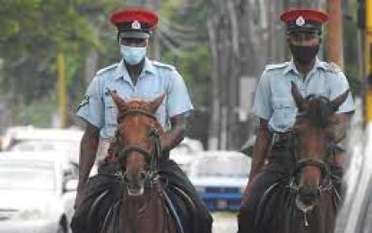 GPF’s Mounted branch still key in crime fighting