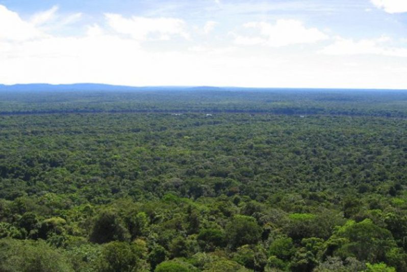 Guyana gets 9B carbon credits for 2023 – OP