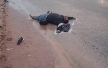 Pedestrian killed in Soesdyke-Linden Highway accident – police investigating