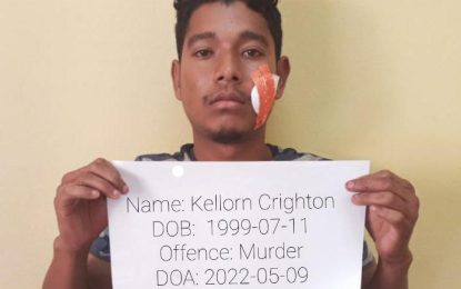 Peacemaker killer remanded