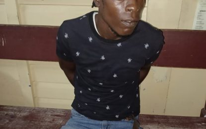 Security guards brave bullets to capture armed bandit