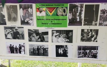 Burnham exhibition opens on Main Street Avenue