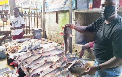 Govt. updates regulations with new protocols for fish imports
