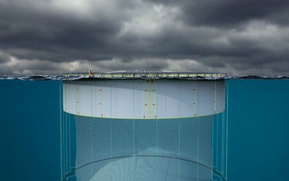 Govt. to roll out fish cage initiative at Mainstay/Whyaka