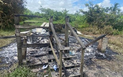 Three children perish in Mocha fire