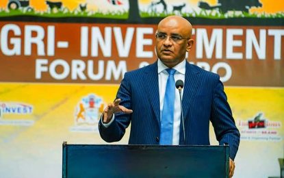 Jagdeo calls on int’l community to give more assistance to private sector