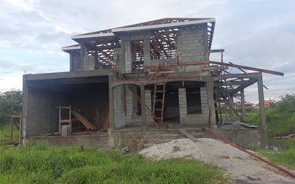 UK-based couple share horror story in attempt to return to Guyana