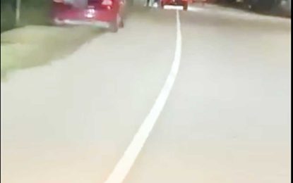 Police arrest woman for driving dangerously on WCD road