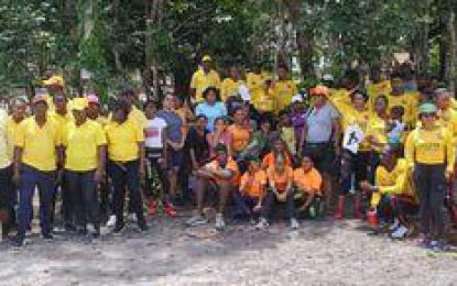 Linden All Stars triumph