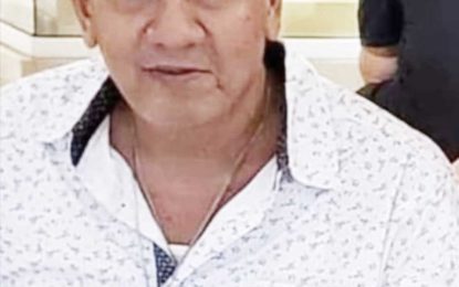 Dredge owner dies after mining pit collapses