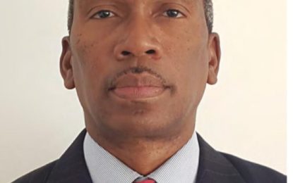 Engineers urge vigilance in roll out of megaprojects