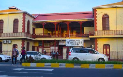 Understanding the magistracy level of the court system