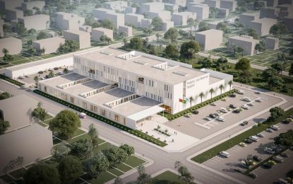 Govt awards hospital contract to Austrian firm without tendering project