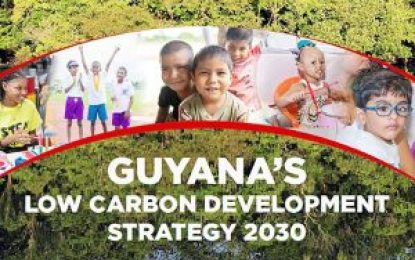 224 small businesses benefit from $1B in loans under LCDS initiative