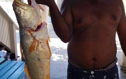 Sustaining a livelihood through fishing despite challenges
