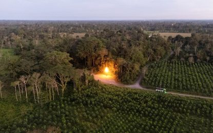 Ecuador seeks partner to stop gas flaring as anger rises in the Amazon