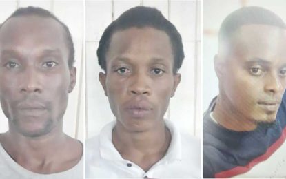 Committed to stand trial for murder in the High Court