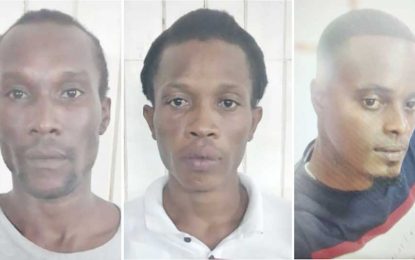 Woman among four committed to stand trial for murder of Sophia man