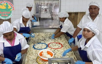 GAWU denies ignoring plight of AMCAR