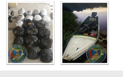 CANU in $11M ganja bust in Canje Creek
