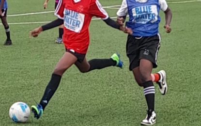 Chase Determinators, East Ruimveldt take full points