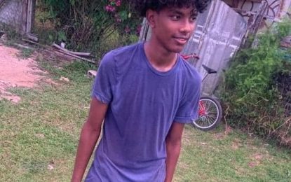 Pillion rider killed in hit and run accident