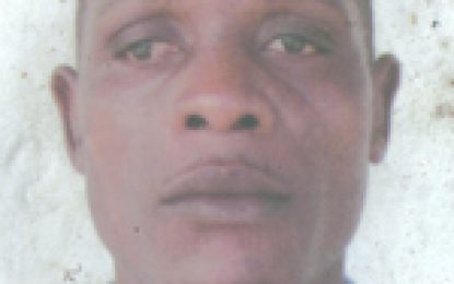 BBHCC’s 4-team cricket & BBQ set for Aug 21