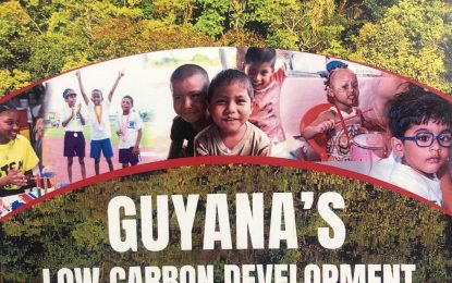 Govt. tables historic Low Carbon Development Strategy 2030 in National Assembly