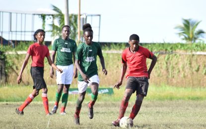 Quarterfinals commences today