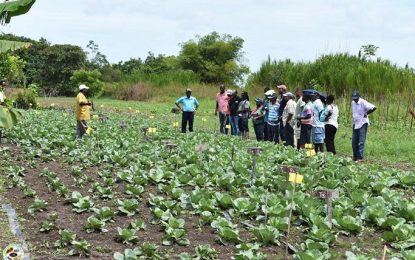 NAREI to spend $30M to reconstruct Timehri Office