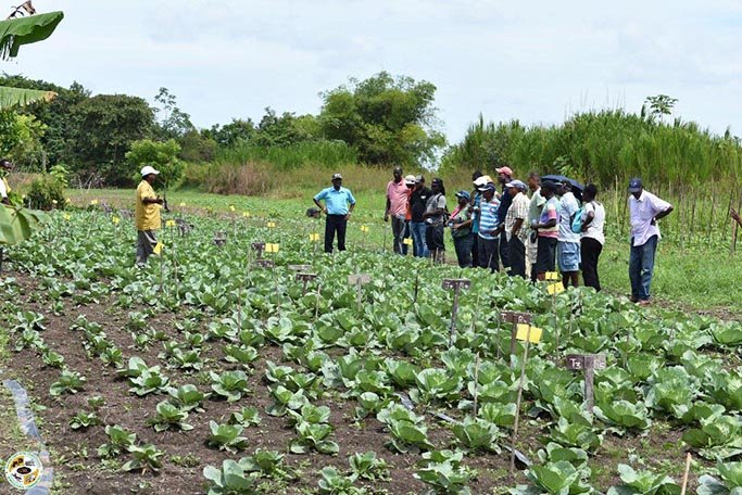‘Farmer’s Connect’ App launched