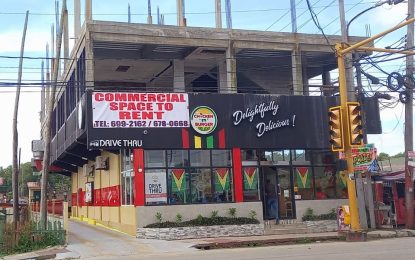 Chinese national survives electric shock at Vreed-en-Hoop