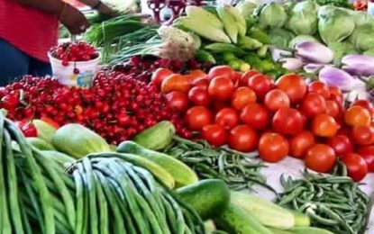 Making the most of that small gardening space