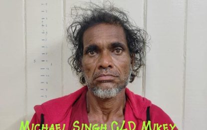 Man pleads guilty for drug possession