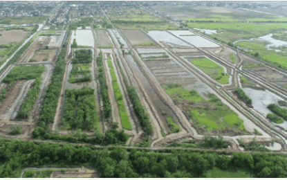 Gov’t to set up two more shrimp farms in Berbice