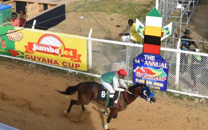 Alado defies the odds to claim the crown