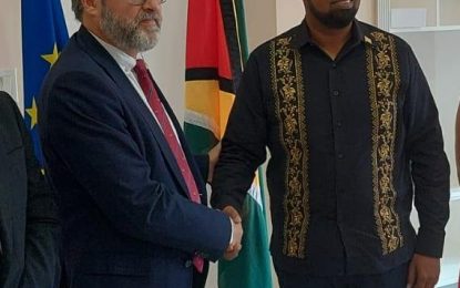 Pres Ali nudges EU on in-country access to Schengen visas