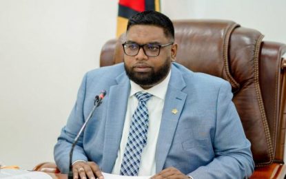 Govt assessing “strategic partner” model for national oil company ahead of oil block auction