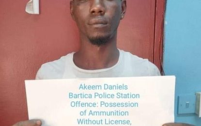 Sophia resident remanded for unlawful possession of firearm, ammo
