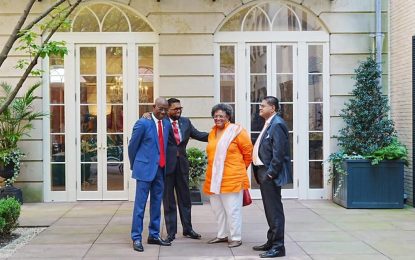 Ali hails ‘fruitful meeting with US Vice President