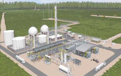 Chinese firms bidding for gas-to-energy project seek to distance selves from shady past of affiliated companies