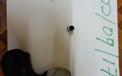 Police retrieve firearm after owner knocked out with a punch to face