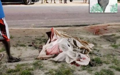 Essequibo man killed in hit and run accident – driver in custody