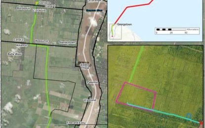 World Bank blacklisted all three Chinese companies that bid for Wales gas plant project