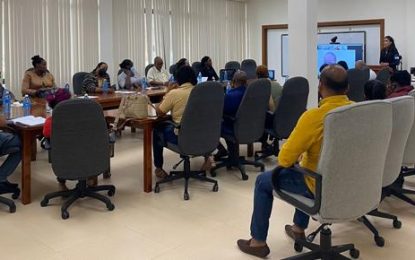 Diaspora Unit hosts Phase One Inter-Agency Meeting