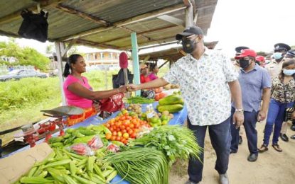 Govt to spend $157M to upgrade Leonora Market tarmac