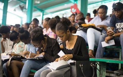 Public employment falls by 10.9%